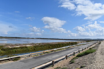 ROUTE DU SEL A HYERES