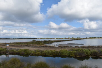 ROUTE DU SEL A HYERES