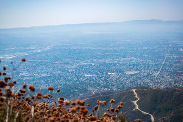 San Fernando Valley view from the top of a mountain