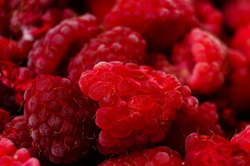 frozen raspberry texture close up for background and your text