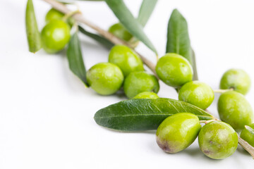 Green fresh olive on the white background