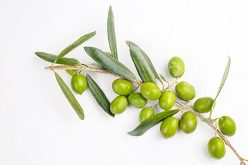 Green fresh olive on the white background