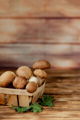 Mushroom Boletus over Wooden Background. Autumn Cep Mushrooms. Ceps Boletus edulis over Wooden Background, close up on wood rustic table. Cooking delicious organic mushroom. Gourmet food