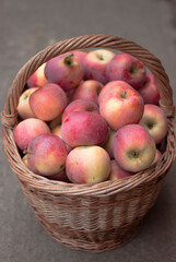 Fresh ripe red apples in a wicker basket. Autumn harvest
