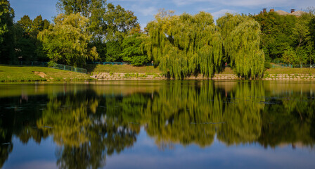 Fototapeta premium City park in the warm and sunny day during the autumn season. Landscape fulfilled of sunlight