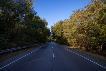 Road in the autumnal forest. Autumn landscape with road and beautiful colored trees.