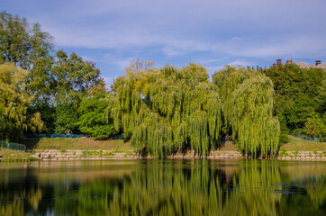 Obraz premium City park in the warm and sunny day during the autumn season. Landscape fulfilled of sunlight