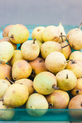 Beautiful ripe yellow pears in a blue container.