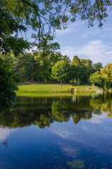 Obraz premium City park in the warm and sunny day during the autumn season. Landscape fulfilled of sunlight
