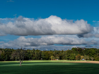 Baumgrundstück im Spätsommer