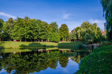 Obraz premium City park in the warm and sunny day during the autumn season. Landscape fulfilled of sunlight