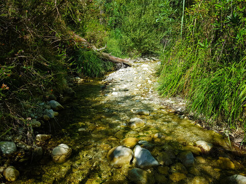 Curso del río Higueron con poca agua