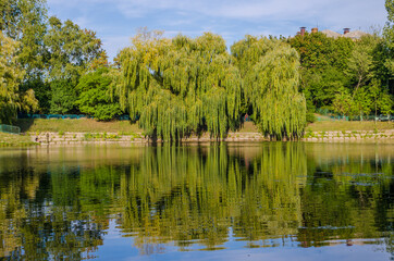 Fototapeta premium City park in the warm and sunny day during the autumn season. Landscape fulfilled of sunlight