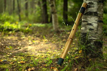 A bamboo flute stands by a tree in the forest © Svetliy