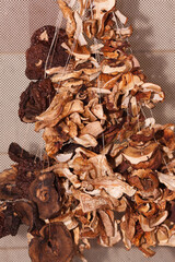 Dried forest mushrooms