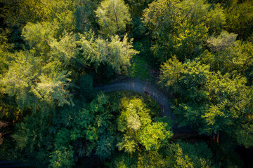 Drohnen Foto von Wald mit Bergstrasse in Abendsonne
