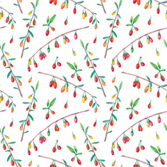 Watercolor seamless pattern with goji berries. - 382908319