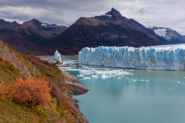 Fototapeta na wymiar Perito Moreno glacier frozen ice field. Autumn Yellow trees. Lake Argentina. 