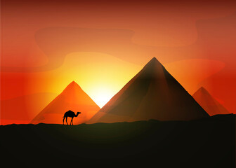 Camel near the Egyptian pyramids. Vector illustration