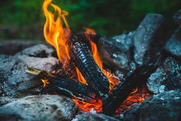 Vivid smoldered firewoods burned in fire close-up. Atmospheric warm background with orange flame of...