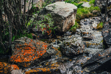 Beautiful mountain creek among rocks. Atmospheric landscape with stones with mosses and lichens in small river. Mossy boulders in cascades of mountain creek. Green plants above water stream in wilds.