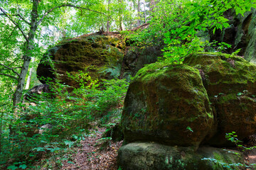 Wild summer Landscape around the Creek with Boulders and Rock in the Czech Switzerland, Czech Republic