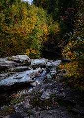 river in autumn forest