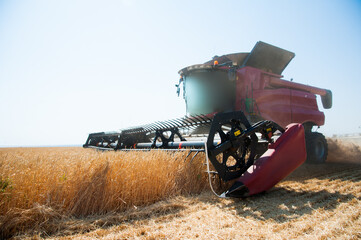 Combine harvester harvests ripe wheat