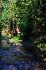 Wild summer Landscape around the Creek with Boulders and Rock in the Czech Switzerland, Czech Republic