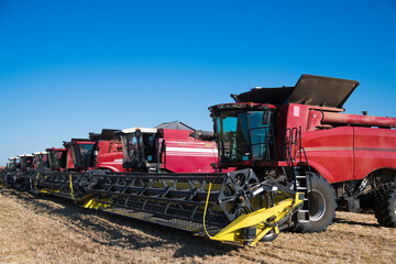 Fototapeta premium Combine harvesters ready for harvest