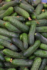 cucumbers in the market