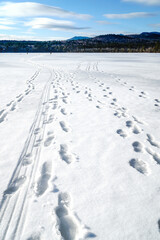 Fototapeta na wymiar Snow Footprints