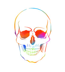 Multi-colored skull. Mixed media. Vector illustration