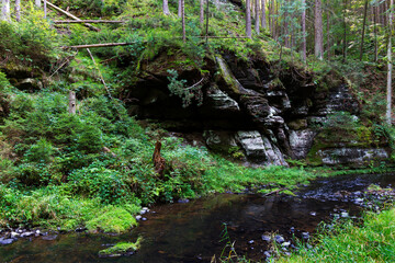 Fototapeta premium Wild summer Landscape around the Creek with Boulders and Rock in the Czech Switzerland, Czech Republic