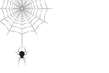 A black spider hanging on the web in the corner and free space for text or design. Halloween concept vector illustration