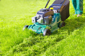 Worker with lawnmower  mows green grass. Mulching the grass at backyard. Lawn mover is cutting ...