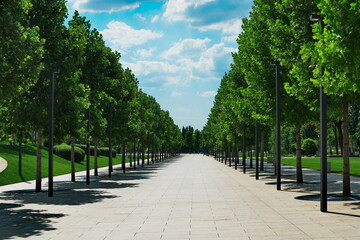 Park path. view of the alley of trees. blue sky and clouds over the road, trail, path through the...