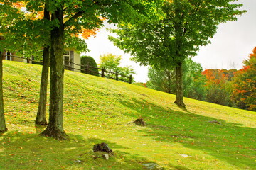 A gentle slope accented by trees and an old wooden fence with autumn trees in the background.
