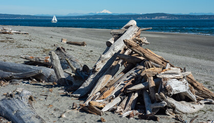 Point No Point County Park Beach-driftwood
