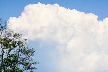 綿飴みたいな夏雲