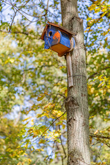 Wooden birdhouse-feeder in the summer city park