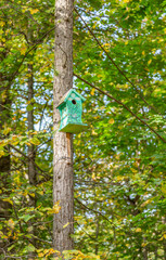Wooden birdhouse-feeder in the summer city park