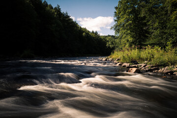 river in the forest
