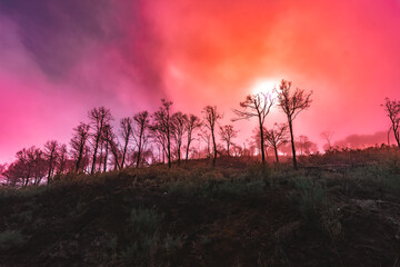 Mezcla de oscuridad y color
Gran Canaria 
Ramomster