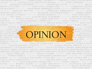 opinion
