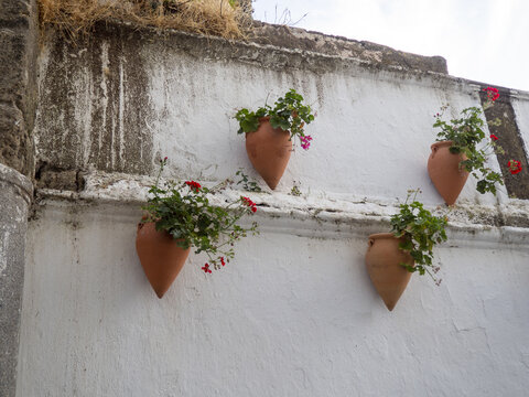 Blossomed flowers in the decorative clay pitchers attached to the white wall
