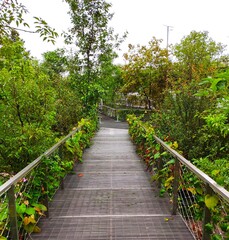 Fototapeta premium puente a la naturaleza by Elias Salas