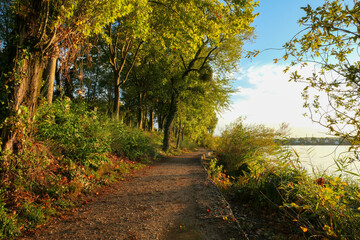 Rural landscape in summer for hikker. Country road by a lake. 