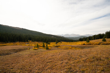 Mountain Lake during Fall Autumn Season surrounded by Yellow Changing Leaves Shrubs and Forest in Alpine Pass with Mountain Range and Clouds