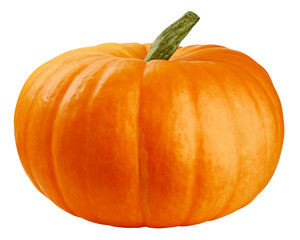 Pumpkin isolated on white background, clipping path, full depth of field